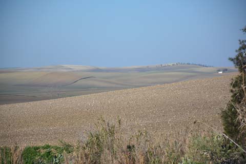 Landschaft in Andalusien Landschaft in Andalusien